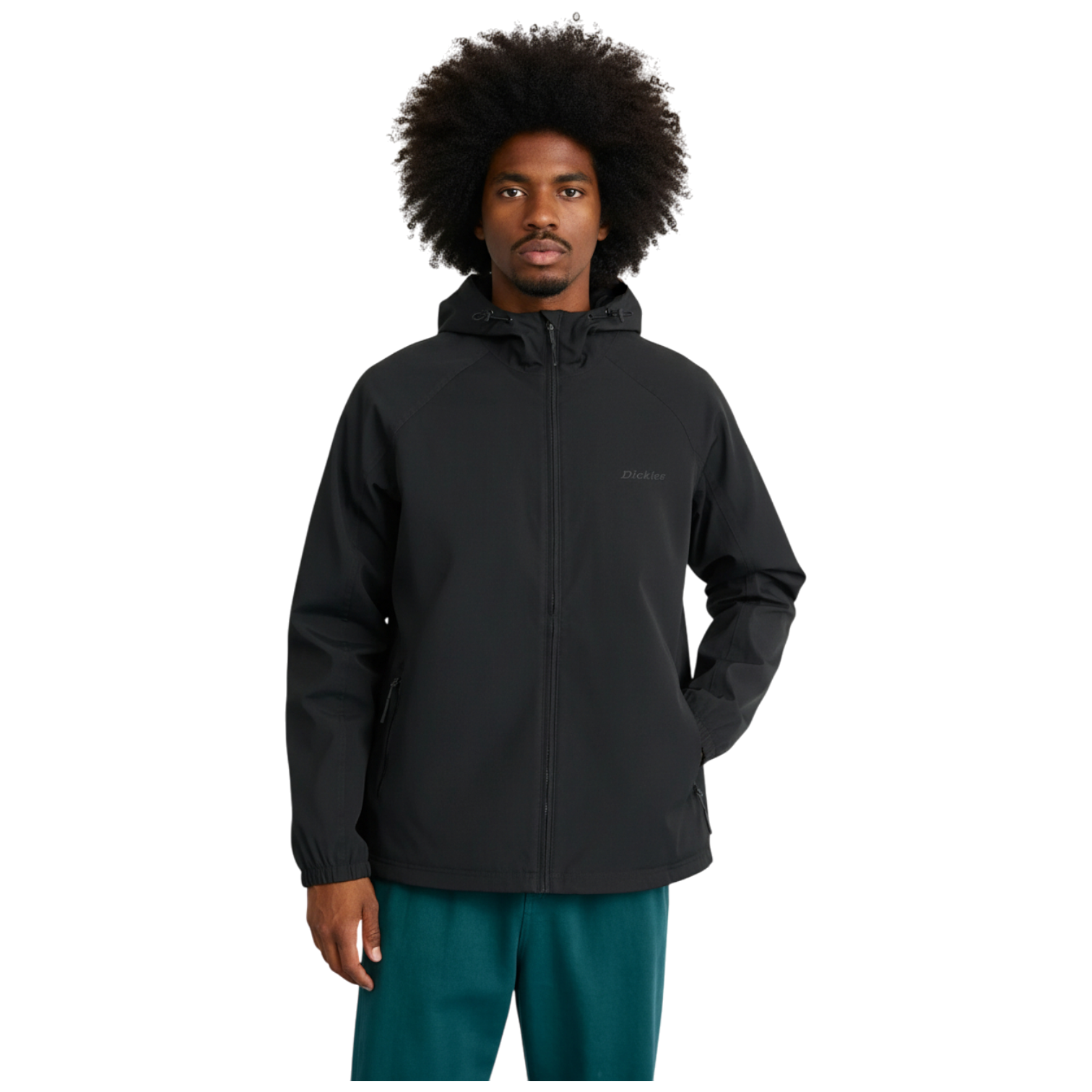 Chaqueta fina DICKIES RONAN SHELL JACKET